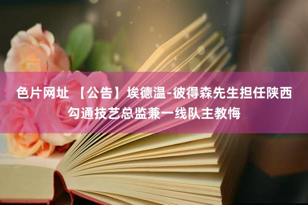 色片网址 【公告】埃德温-彼得森先生担任陕西勾通技艺总监兼一线队主教悔