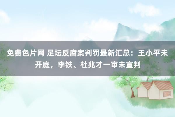 免费色片网 足坛反腐案判罚最新汇总：王小平未开庭，李铁、杜兆才一审未宣判