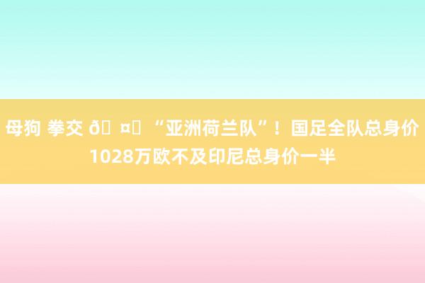 母狗 拳交 🤔“亚洲荷兰队”！国足全队总身价1028万欧不及印尼总身价一半