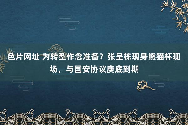色片网址 为转型作念准备?张呈栋现身熊猫杯现场,与国安协议庚底到期
