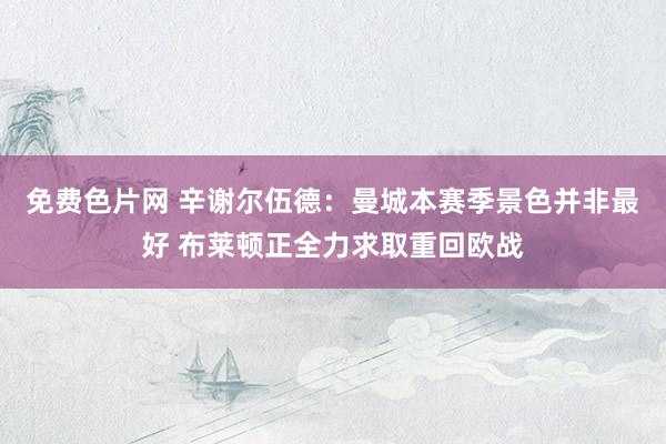 免费色片网 辛谢尔伍德：曼城本赛季景色并非最好 布莱顿正全力求取重回欧战