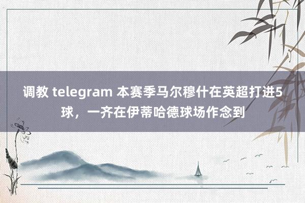调教 telegram 本赛季马尔穆什在英超打进5球,一齐在伊蒂哈德球场作念到